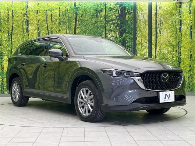 CX-8