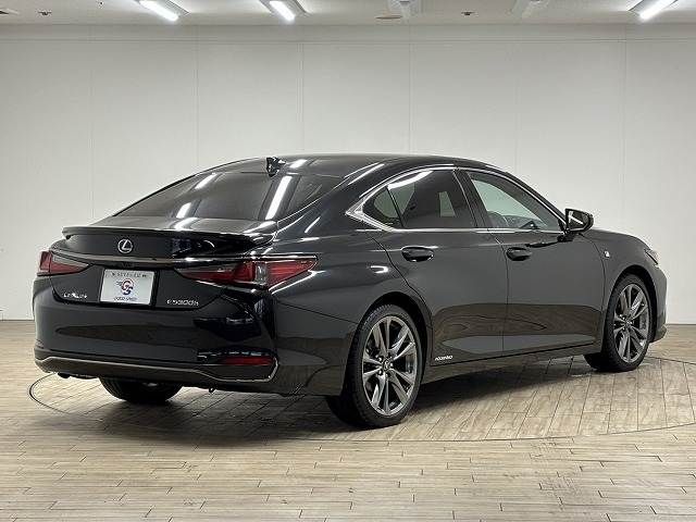 LEXUS ES300h