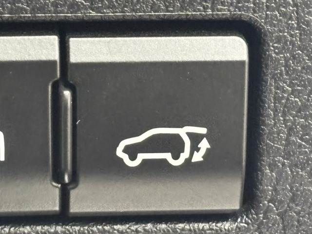 LEXUS NX300h AWD