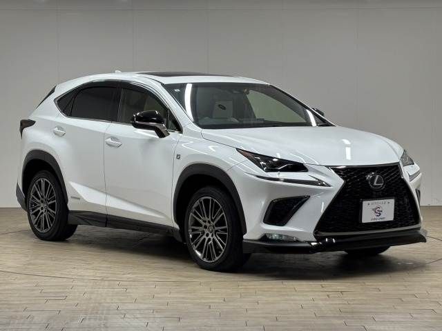 LEXUS NX300h AWD
