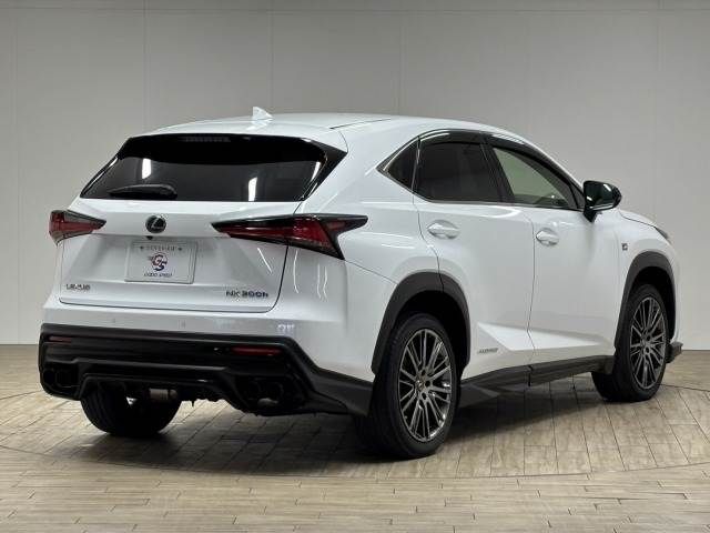 LEXUS NX300h AWD