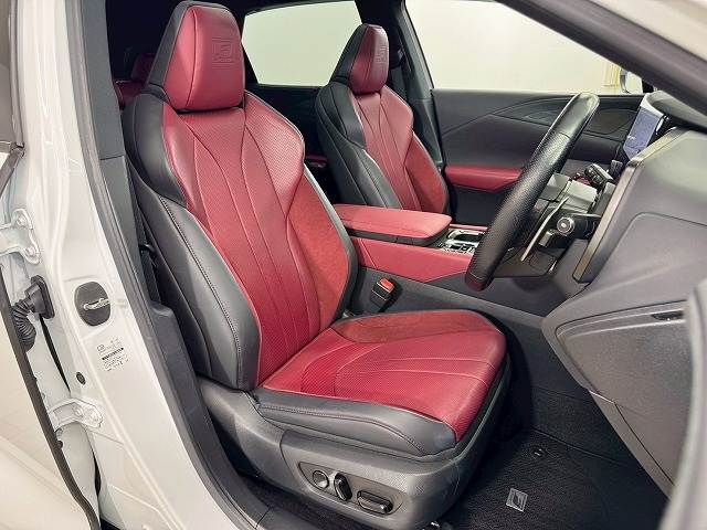 LEXUS RX500h
