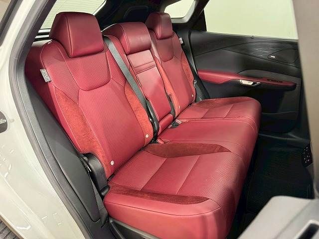 LEXUS RX500h