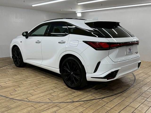 LEXUS RX500h