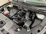 LEXUS RX500h