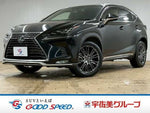 LEXUS NX300