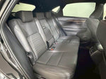 LEXUS NX300