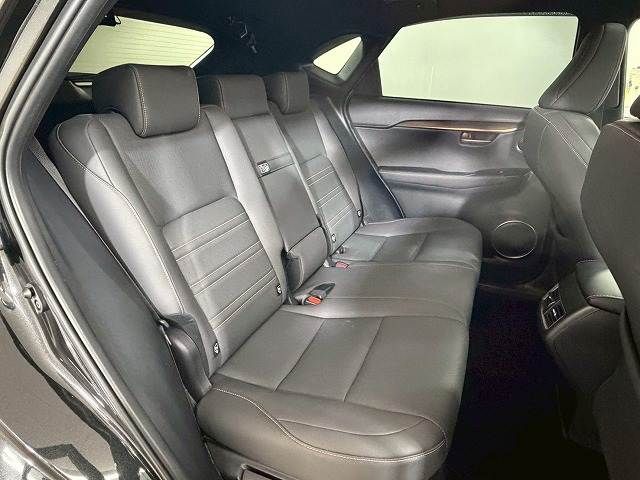 LEXUS NX300