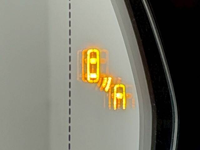 LEXUS NX300