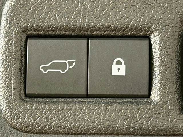 LEXUS NX300