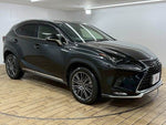 LEXUS NX300
