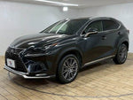 LEXUS NX300