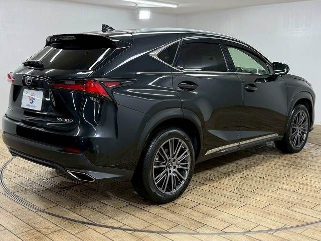 LEXUS NX300