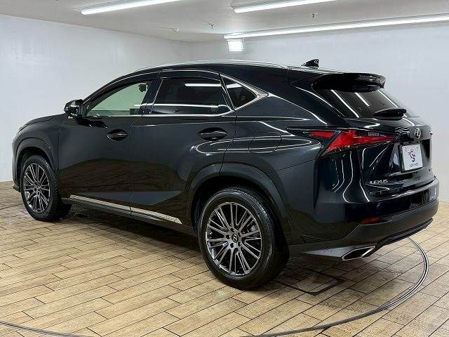 LEXUS NX300