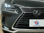 LEXUS NX300