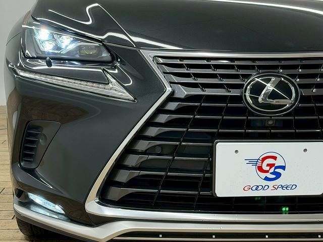 LEXUS NX300