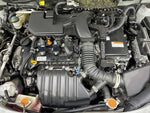 RAIZE HYBRID