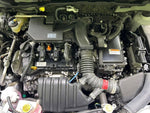 RAIZE HYBRID