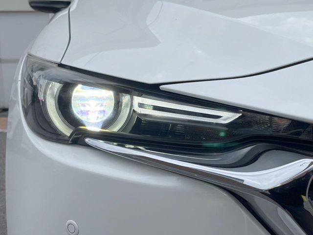 CX-8