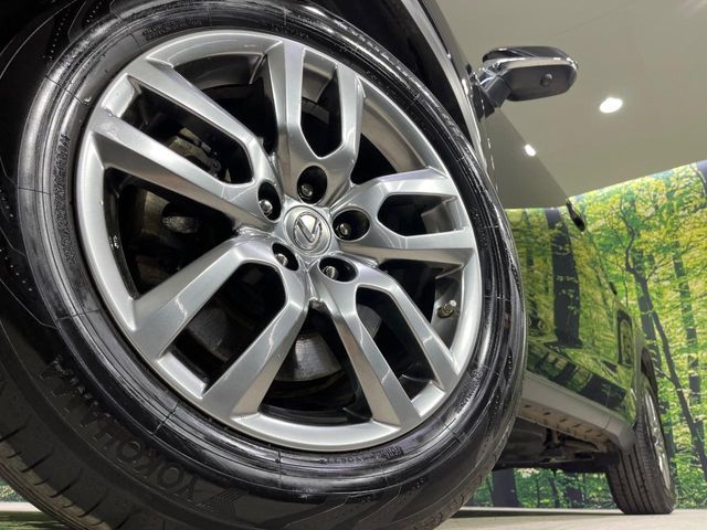 LEXUS NX300h AWD