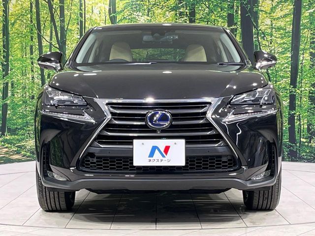 LEXUS NX300h AWD