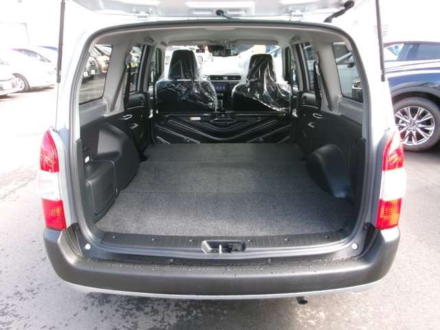 PROBOX van HYBRID