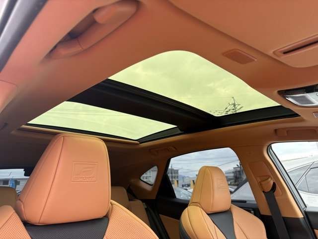 LEXUS NX350h