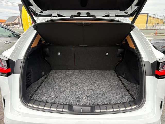 LEXUS NX350h
