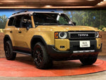 LANDCRUISER 250