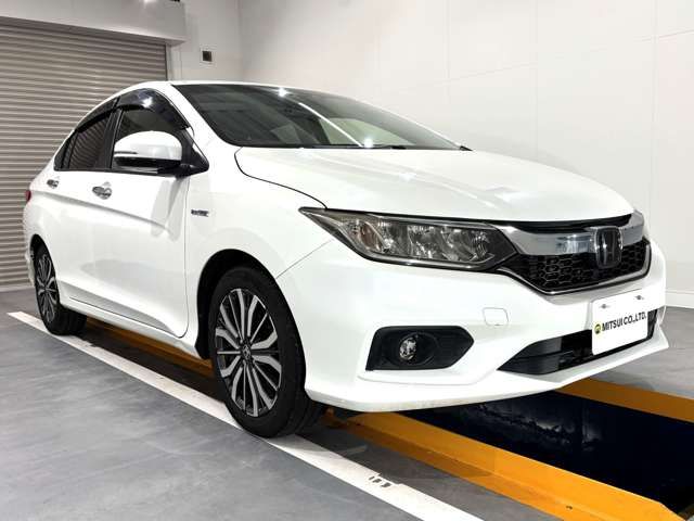 GRACE HYBRID