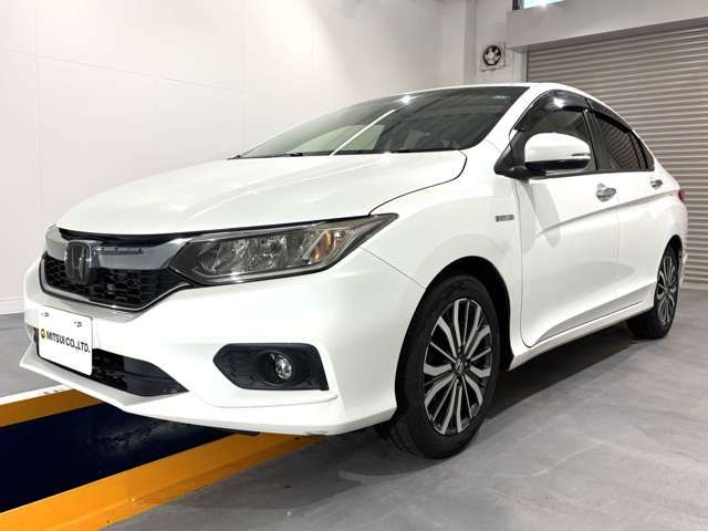 GRACE HYBRID