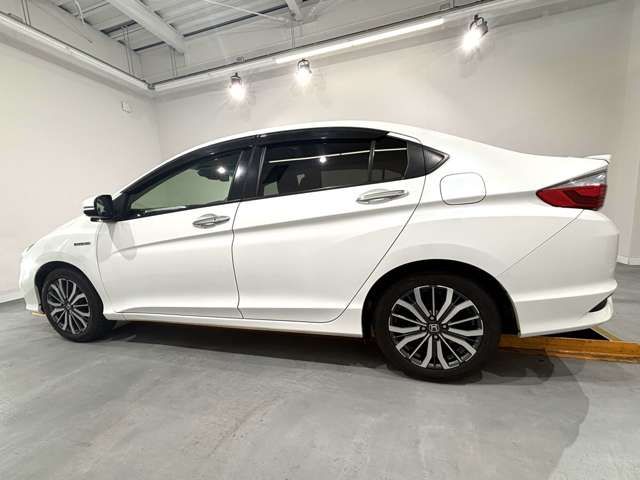 GRACE HYBRID