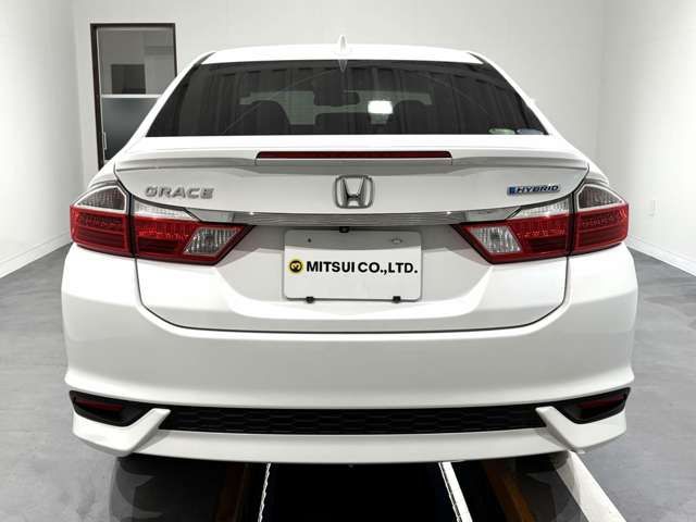 GRACE HYBRID