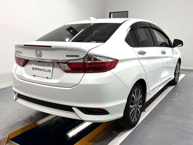 GRACE HYBRID