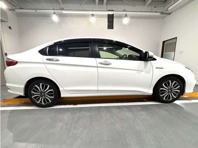 GRACE HYBRID