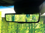 LANDCRUISER 250