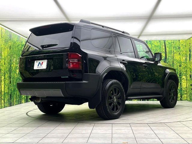 LANDCRUISER 250