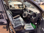 LIFE