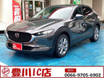 CX-30