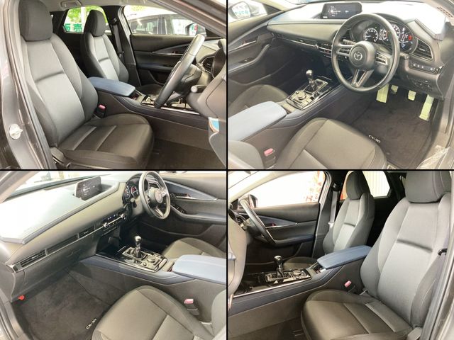 CX-30