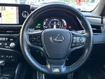 LEXUS ES300h