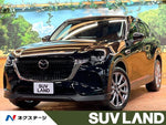 CX-60