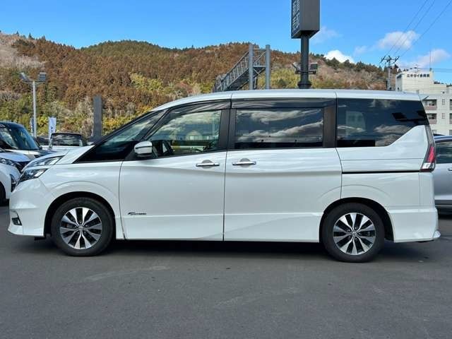 SERENA  S-HYBRID
