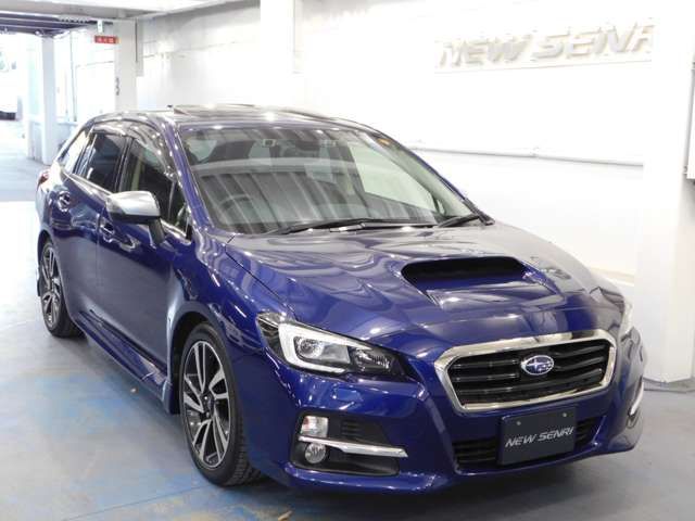 LEVORG