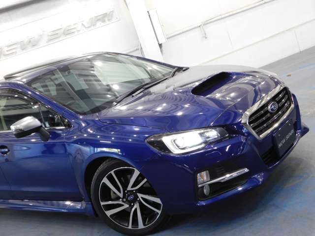 LEVORG