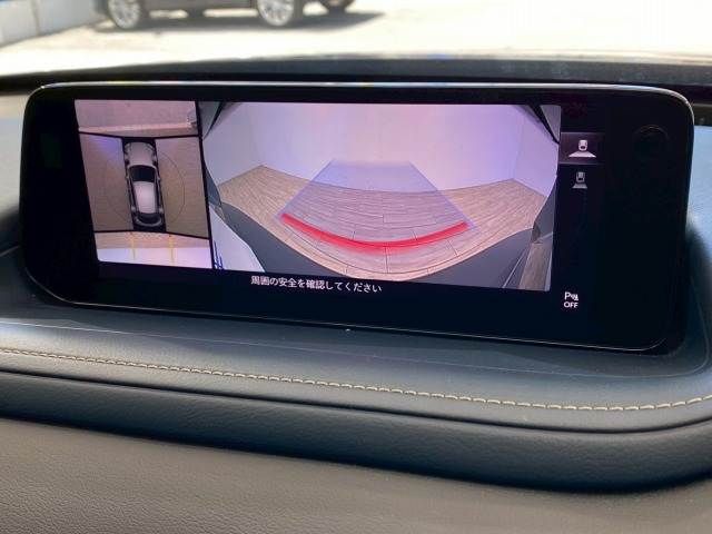 CX-30
