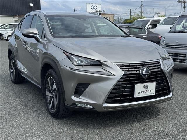 LEXUS NX300h AWD