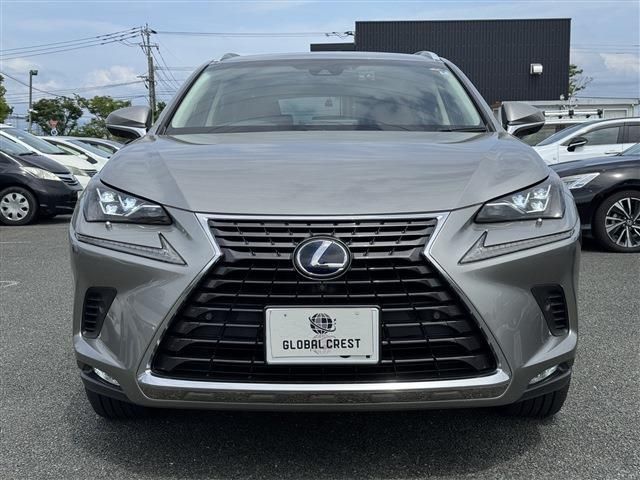 LEXUS NX300h AWD