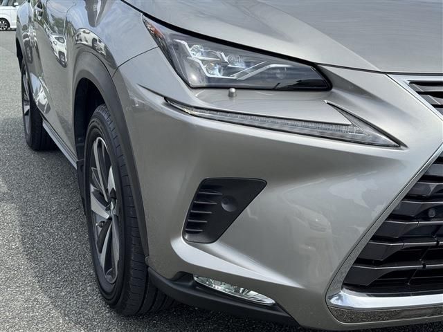 LEXUS NX300h AWD
