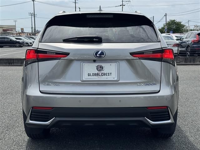 LEXUS NX300h AWD